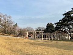 -青岛德国总督楼旧址博物馆