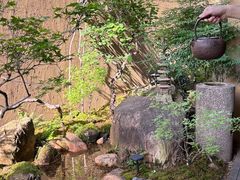 -苏州本色美术馆