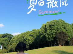 -滆湖低碳生态公园