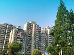 -大宁郁金香公园-停车场