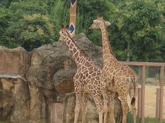 -杭州野生动物世界