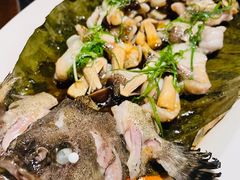 鸡枞菌蒸黄皮老虎斑-三利音·东方司宴(外滩店)