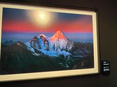 -罗红摄影艺术馆