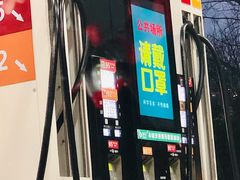-中国石油加油站(严桥路站)