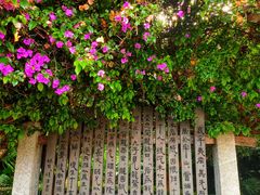 -南诏风情岛