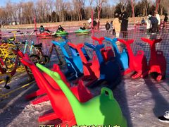 -野鸭湖国家湿地公园