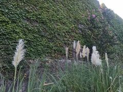 -相门城墙文化休闲景区