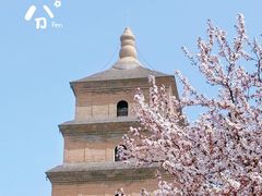 -大慈恩寺(大雁塔)