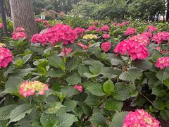 -常州古运河南大街文化旅游区-人民公园