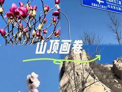 -北京凤凰岭