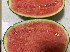 -庞各庄翠芳园西瓜蔬菜基地采摘园