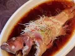 清蒸东星斑-丹东福瑞德大酒店·翠宫中餐厅