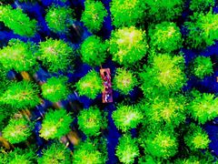 -泗洪洪泽湖湿地景区