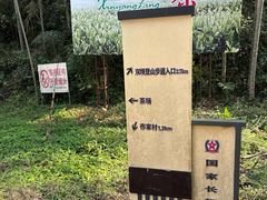 -江西阳明山国家森林公园