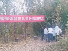 -北京东方普罗旺斯薰衣草庄园