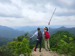 -清溪森林公园