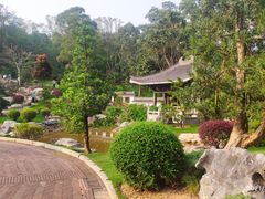 -深圳仙湖植物园