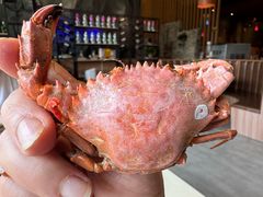 -蓝珊甄选海鲜自助·火锅大排档(近阿那亚店)