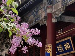 -潭柘寺景区