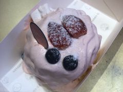 -狐狸和向日葵(北京路店)