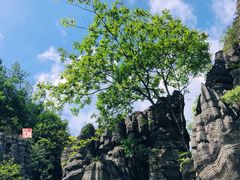 -梭布垭石林景区