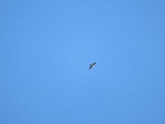 -平湖九龙山旅游度假区