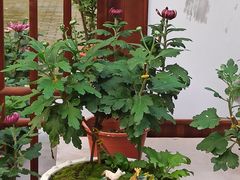 -共青国家森林公园-售票处