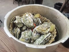 -蚝山·喷汽火山生蚝(前福路店)