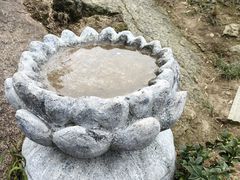 -长沙黑麋峰国家森林公园
