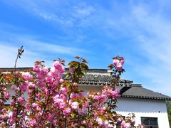 -石塘人家