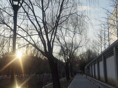 -元大都城垣遗址公园