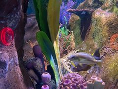 -秦皇岛新澳海底世界