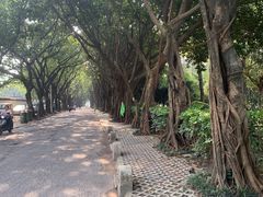 -光明港公园