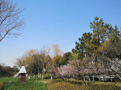 -圩墩遗址公园