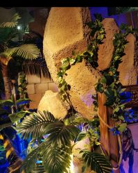 -恐龙探索乐园(磁器口店)