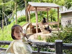 -中国大熊猫保护研究中心雅安碧峰峡基地