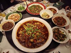 -新概念来凤鱼(璧山店)