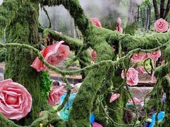 -洛阳白云山景区