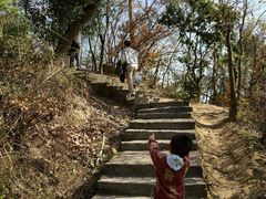 -长沙黑麋峰国家森林公园