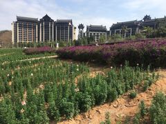 -清远熹乐谷温泉度假酒店