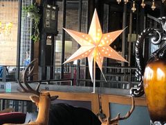 -D STAR COFFEE帝星咖啡