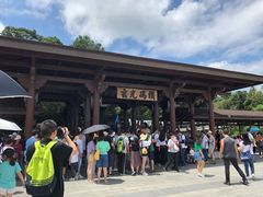 -金盆阿嬷香菇茶叶蛋(玄光店)