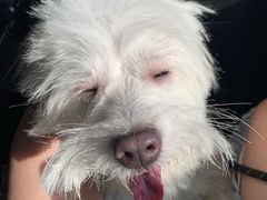 -美美酱宠物(外运路小区店)