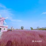 济南最大免费粉黛子