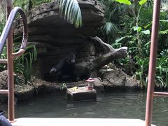 -加州迪士尼乐园