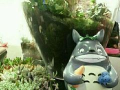 android_upload_pic-妈妈的味道(工人体育场东路店)