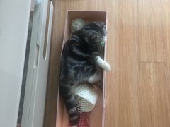 -惠康宠物医院(华能路店)