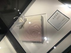 -BLACKSWAN黑天鹅(环球店)