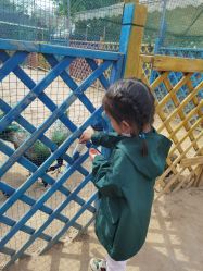 -萌宠亲子动物乐园(槐房万达店)