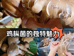 -菌彩云南野生菌火锅(万达广场店)